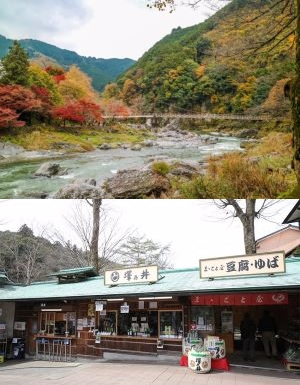 ★10/20（日）ベスコントレイル＠御岳山・御岳渓谷★アフターは澤乃井園でランチや利き酒★